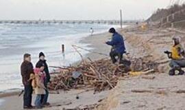 Vėjas pajūryje "rijo" milijonus