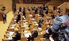 Kiaulės metais politinis gardas neblizgės