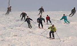 Sniegas ne visiems prikrėtė kiaulysčių
