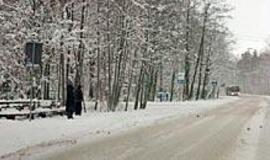 Naujas kelias pajūrin pareikalaus miško