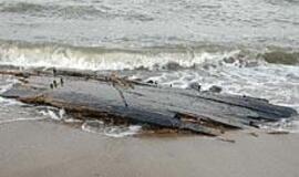 Mokslininkai suka galvas, kaip išsaugoti jūros dovaną