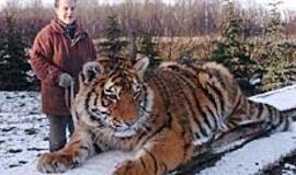 Su Banga jau sunku galynėtis