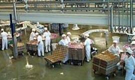 "Nuomojami" darbuotojai jaučiasi skriaudžiami