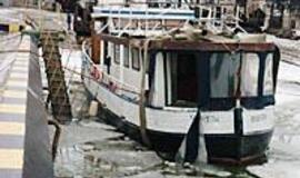 "Jūrų liūtą" suspaudė ledai