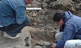 Parduotas sklypas jau teikia vilčių archeologams