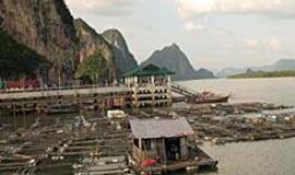 Tailandas: žiedų girliandos ir drambliai miesto gatvėse