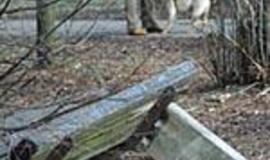 Parke - nei poilsio, nei kultūros