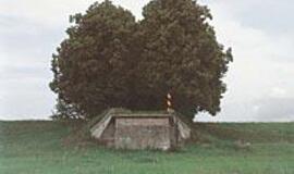 Prasidėjo karališkosios Vokiečių kultūros dienos