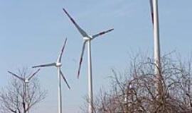 Didžiausias vėjo elektrinių parkas - atidarytas