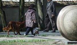 Įstatymai ir tvarka šunų savininkams - ne rodiklis