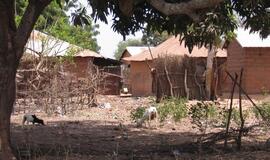 Gambija: skurdas netemdo gyvenimo džiaugsmo