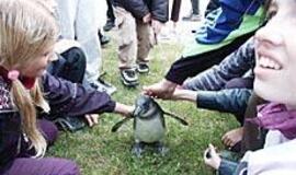 Ilgasis savaitgalis Klaipėdos muziejuose