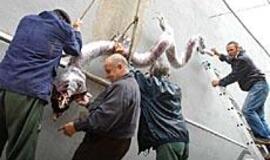 Klaipėda švęs dar vieną gimtadienį