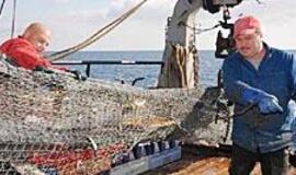 Jūrininkų išskirtinumas sukėlė pavydo audrą