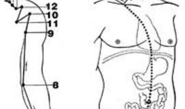 Vidurių problemos - nuo netinkamų mitybos ir gyvenimo įpročių