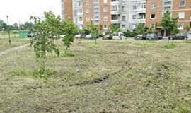 Žoliapjovystė - sudėtingas dalykas?