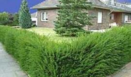 Kokią gyvatvorę pasirinkti?