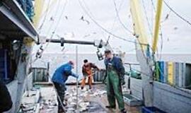 Valstybės kontrolė kišasi į žvejų reikalus