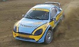 P. Pleskovas žada daryti pertrauką