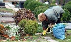 Emigrantai per Vėlines ašaras lieja prie nuotraukų