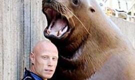 Jūrų liūtai: Markizės ir Pirato meilė