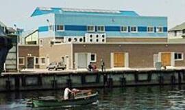 Komisijos taikinyje - žuvų aukcionas