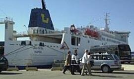 Kiaulės metais buvo ir kiaulysčių