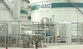 Valstybinės reikšmės objekte - milijonai tonų