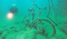 Svarbiau nuskendę miškai nei povandeniniai laivai