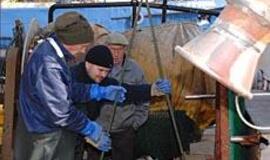 Politikai bando atgręžti žvejus į aukciono pusę