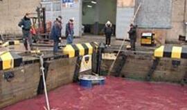 Išpiltas rožinis dyzelinas pateko tiesiai į gelbėtojų rankas