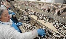 Buvusios pedagogės vadovaujama įmonė kitais metais planuoja gauti pelno