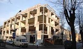 Nelegalus aukštas pakils kaip Feniksas?