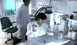 Vanduo: kodėl geriau klausytis klasikos nei metalo