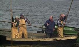 Neringiškiai prabils apie savo poreikius