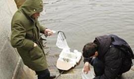 Absurdo komedija Neringoje tęsiasi