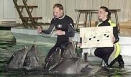 Du gaidelius atstoja delfinai ir Šrekas