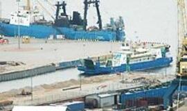 Keltai iš Danės šiemet nepasitrauks