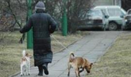 Šunys Lietuvos akliesiems negelbsti