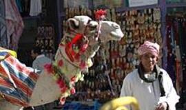 Iš Egipto - į reanimacijos palatą