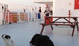 Per jūrą - su sugedusiu varikliu