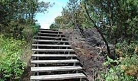 Klaipėdiečiai svetimais dūmais nekvėpavo