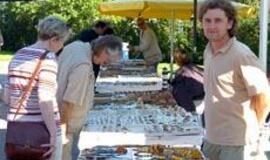 Naujus mokesčius atlaikys ne visi