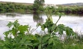 Lietuviai geria ir pesticidus, ir benziną