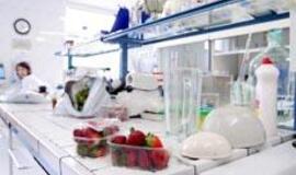 Šiemetis braškių derlius atitinka saugos reikalavimus