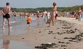 Į Palangos paplūdimius plūdo dumbliai