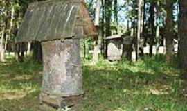 Vilkynės istorijos VI: gyvenimas tarp vabzdžių