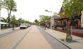 Palangos politikai iškreipė rinką