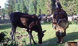 Vilkynės istorijos VII: gyvenimas tarp žmonių