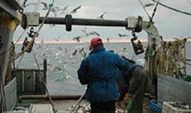 Žvejai ruošia tinklus menkėms